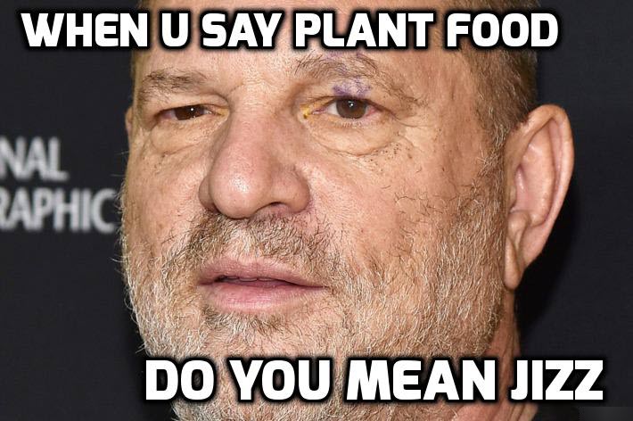Harvey Weinstein Meme
